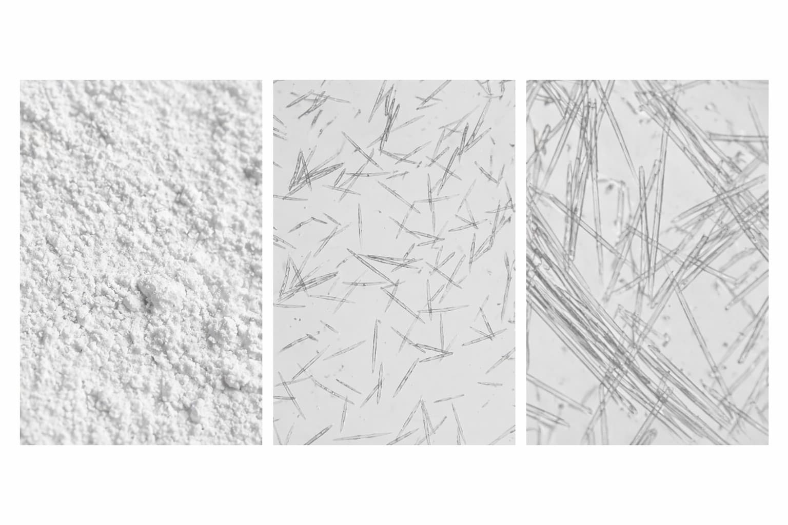 Spicule Structure Illustration